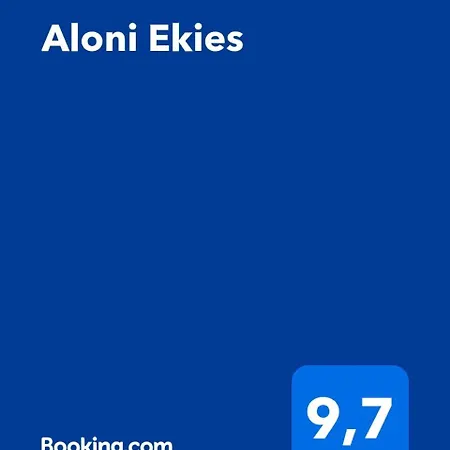 Aloni Ekies *